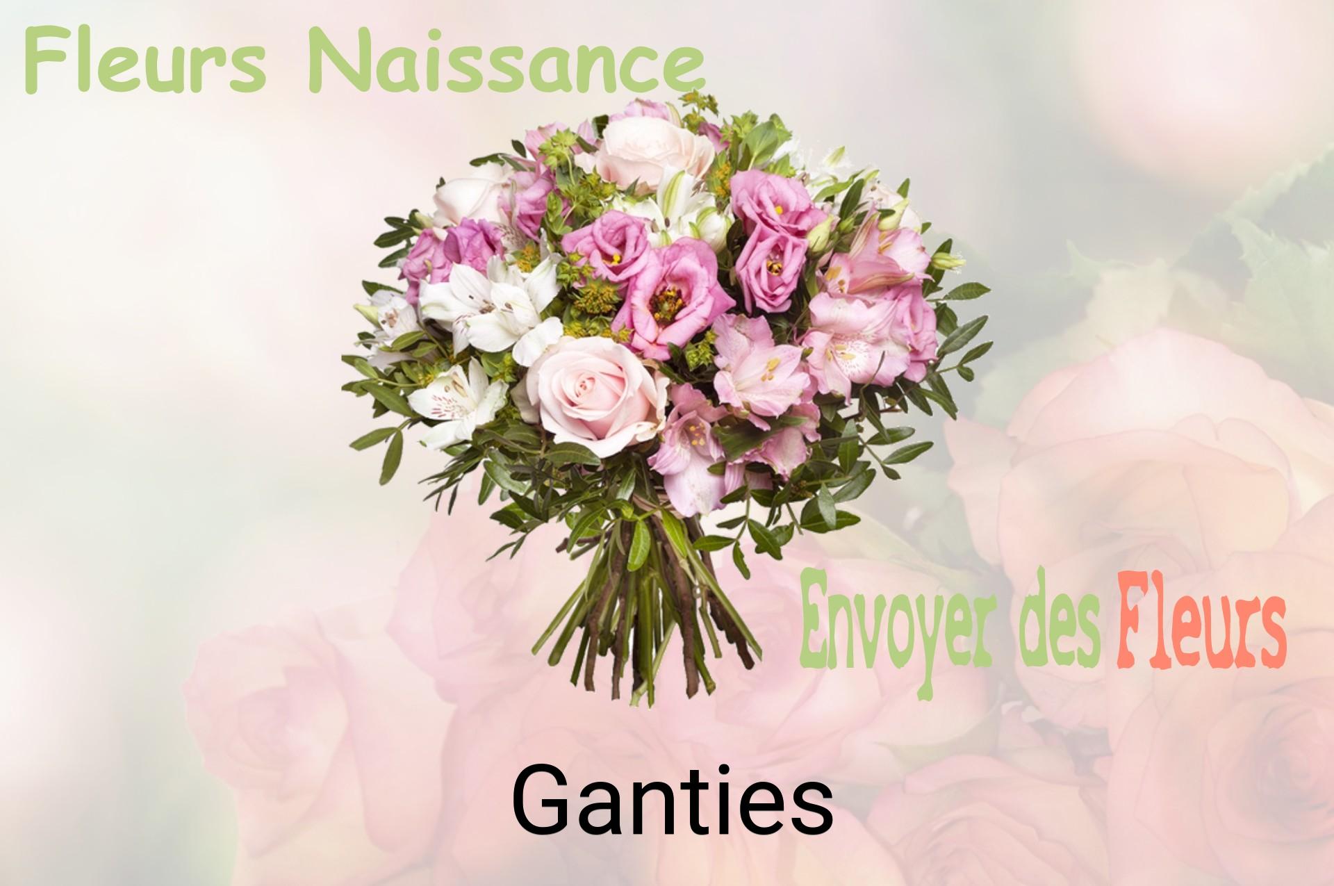 Bouquet de fleurs de naissance livré à Ganties