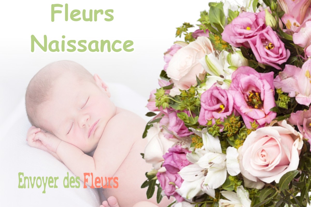 lIVRAISON FLEURS NAISSANCE à GANTIES